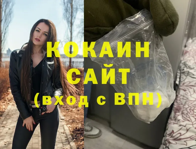 Cocaine Fish Scale  цена   ОМГ ОМГ рабочий сайт  Бологое 